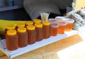 В последние годы узбекские пчеловоды продолжают укреплять