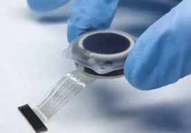 Фото: YouTube/Neuralink Дунёнинг энг бой кишиси Илон Маск
