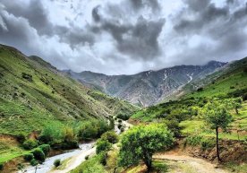 “Uzhydromet” Salı, 24 Haziran için beklenen hava durumu