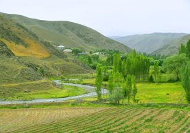 Ушбу йилнинг май ойи қандай бўлиши кутилмоқда?