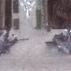 The Russian Armed Forces suffered significant losses as a